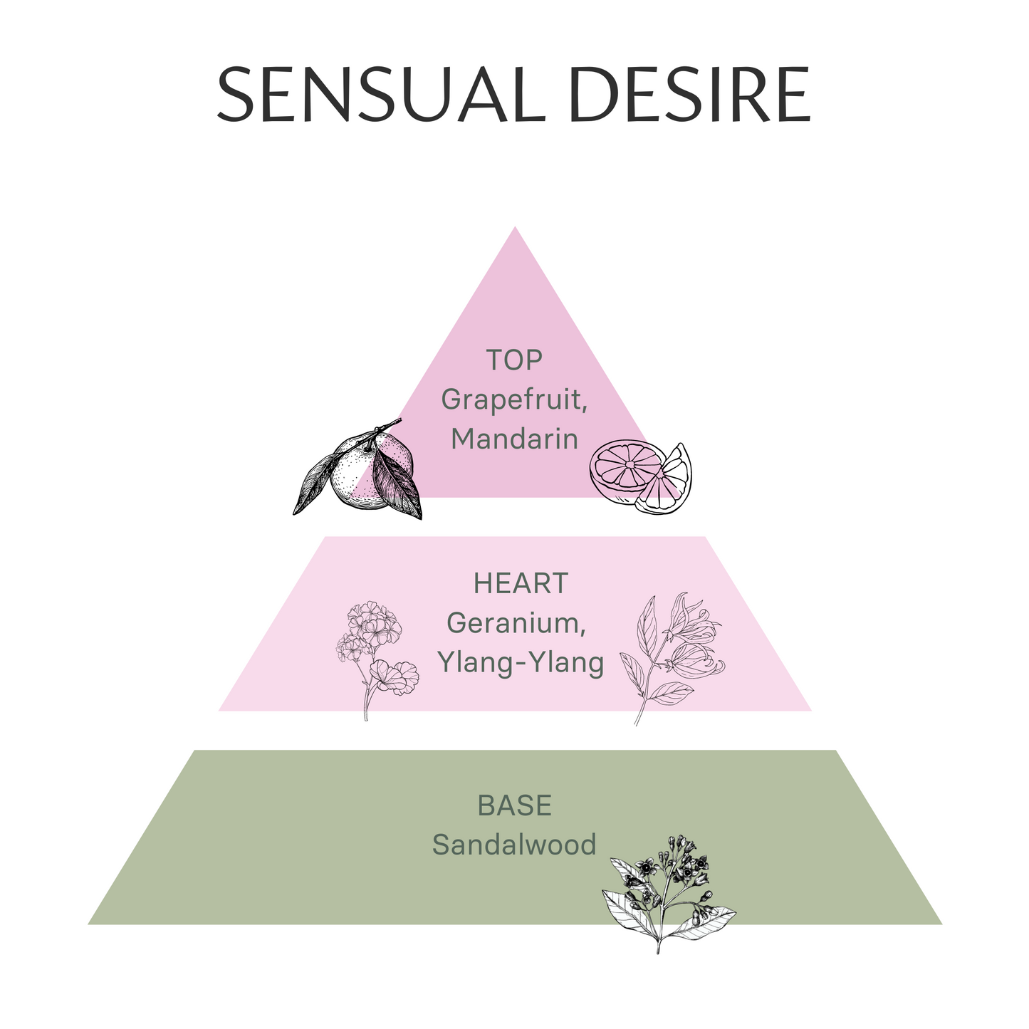 Ignite Passion with "Sensual Desire" Aromatherapy Candle: Geranium, Grapefruit, Sandalwood, Mandarin & Ylang-Ylang
