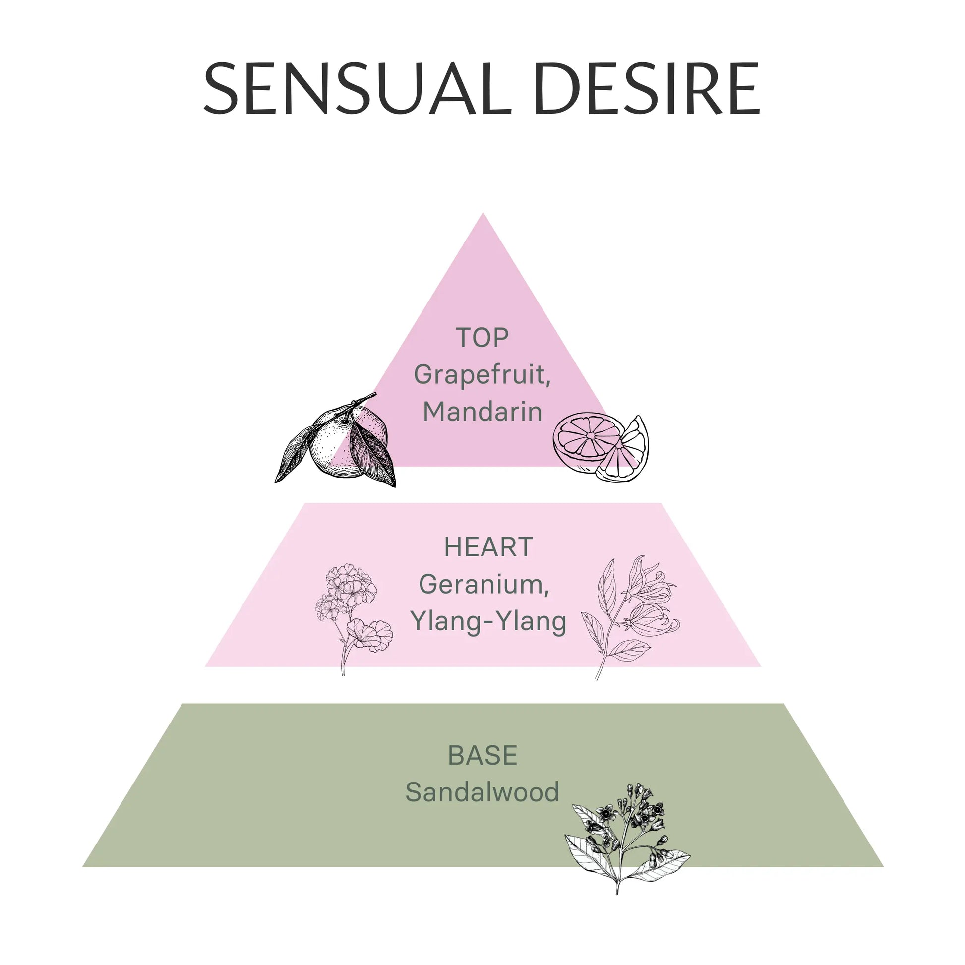 Ignite Passion with "Sensual Desire" Aromatherapy Candle: Geranium, Grapefruit, Sandalwood, Mandarin & Ylang-Ylang Ecosenz Wellbeing