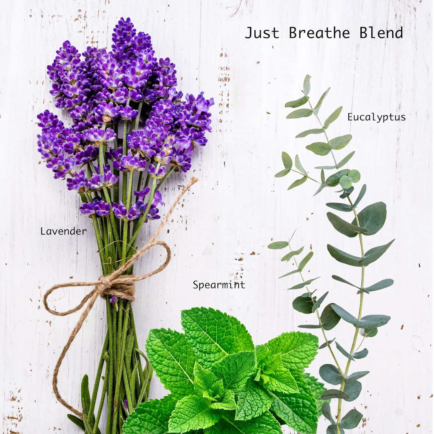 Inhale Relaxation: "Just Breathe" Aromatherapy Candle with Eucalyptus, Peppermint, and Lavender Essential Oils Ecosenz Wellbeing